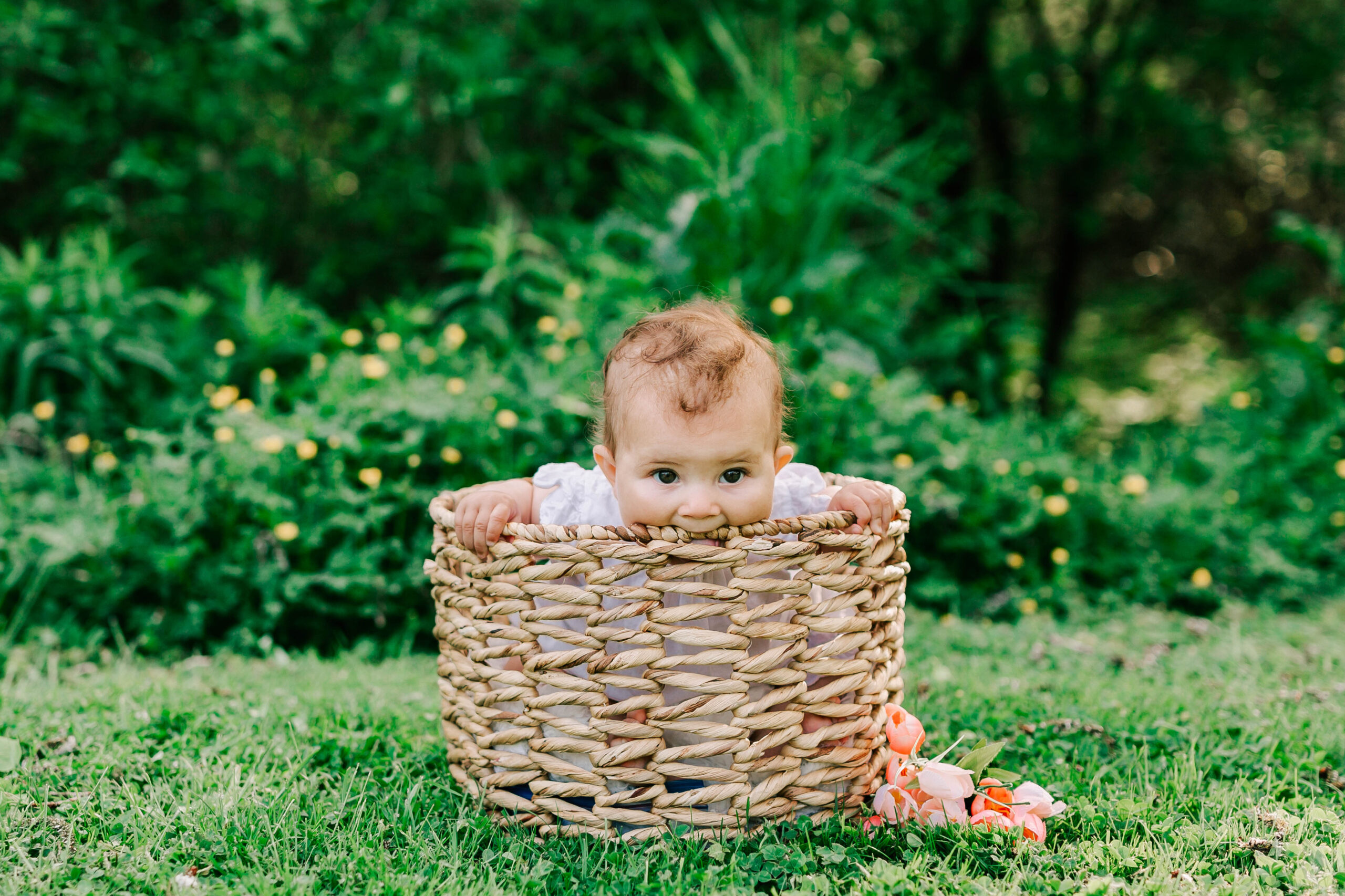 Little sitter in a basket 